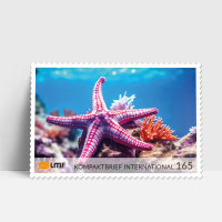 Kompaktbrief 10-er Bogen Unterwasserwelt internationale Briefmarke