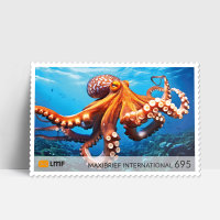 Maxibrief 10-er Bogen Unterwasserwelt internationale Briefmarke