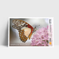 Maxibrief 10-er Bogen Schmetterling