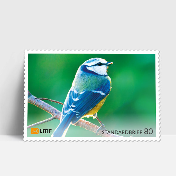 Standardbrief 10-er Bogen Zwetschgen-Briefmarke